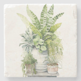 Porta-copo De Pedra Plantas de Casa