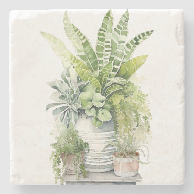 Porta-copo De Pedra Plantas de Casa (Frente)