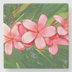 Porta-copo De Pedra Plumeria