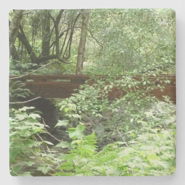 Porta-copo De Pedra Ponte Muir Woods I (Frente)