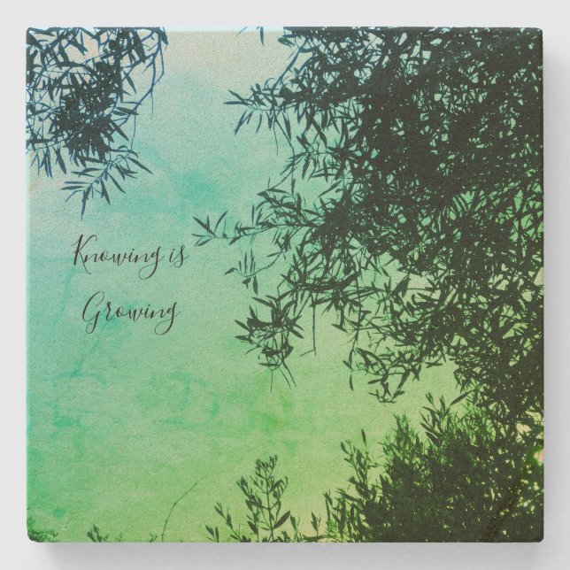 Porta-copo De Pedra porta copos (Frente)