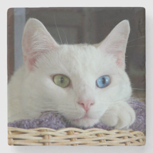 Porta-copo De Pedra Porta copos #2 do mármore do fim-acima da