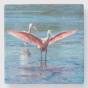 Porta-copo De Pedra Porta copos da pedra do mármore do Spoonbill rós