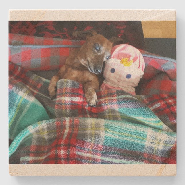 Porta-copo De Pedra Porta copos Dachshund Stone (Frente)