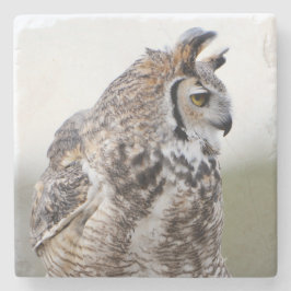 Porta-copo De Pedra Porta copos de Fotografia de Coruja excelente