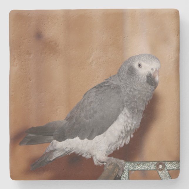 PORTA-COPO DE PEDRA PORTA COPOS DE FOTOS PERSONALIZADA (Frente)