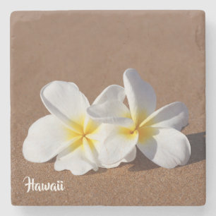 Porta-copo De Pedra Porta copos havaiana branca bonita do Plumeria