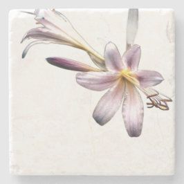 Porta-copo De Pedra Porta copos Pedra