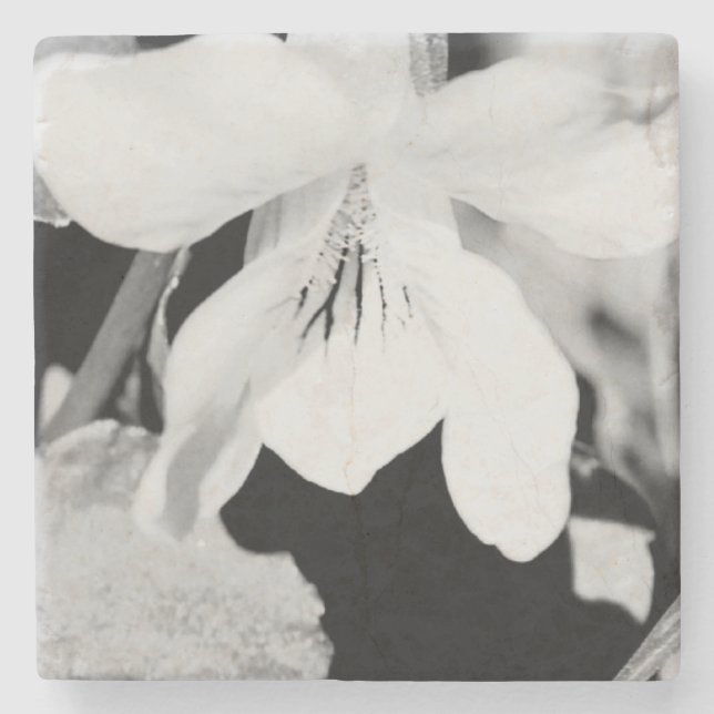 Porta-copo De Pedra Porta copos Pedra (Frente)