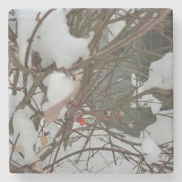 Porta-copo De Pedra Porta copos Pedra