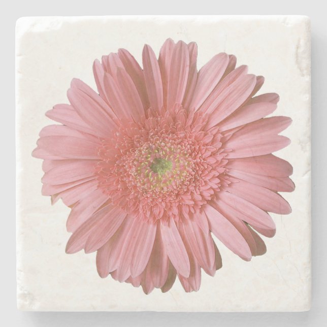Porta-copo De Pedra Porta copos Rosa Gerber Daisy Stone (Frente)