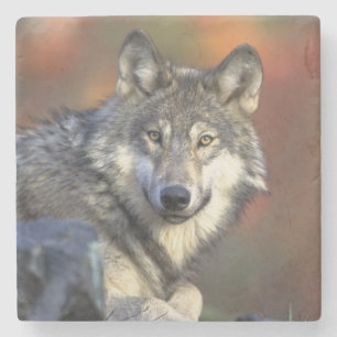 Porta-copo De Pedra Porta copos Wolf Stone