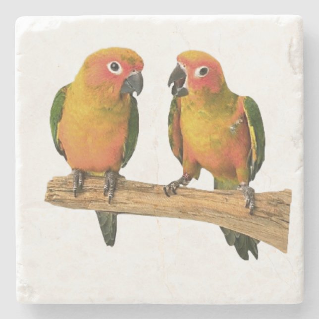Porta-copo De Pedra Portas copos bonitos de Conure (Frente)