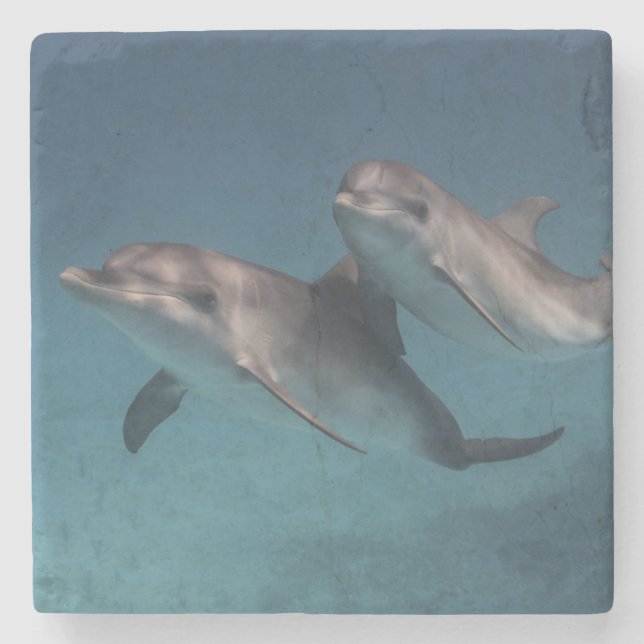 Porta-copo De Pedra Pose brincalhão (Frente)