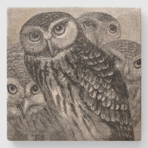Porta-copo De Pedra Praça da Família Vintage Owl