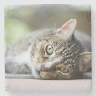 Porta-copo De Pedra Presente Personalizado de Foto de Gato para Amante