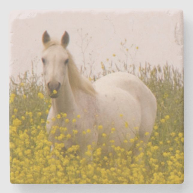 Porta-copo De Pedra Primavera (Frente)