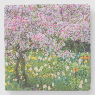 Porta-copo De Pedra Primavera no jardim de Claude Monet