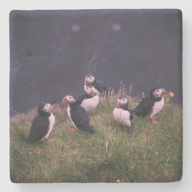 Porta-copo De Pedra Puffins Atlântico (Frente)