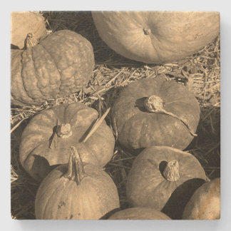 Porta-copo De Pedra Pumpkin Patch
