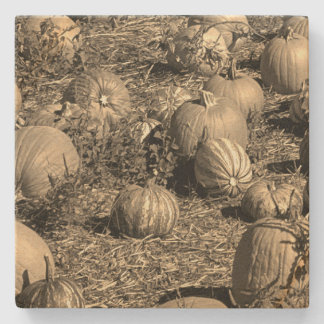 Porta-copo De Pedra Pumpkins