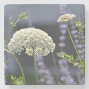 Porta-copo De Pedra Rainha Anne Porta copos