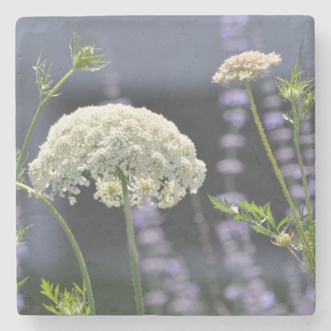 Porta-copo De Pedra Rainha Anne Porta copos (Frente)