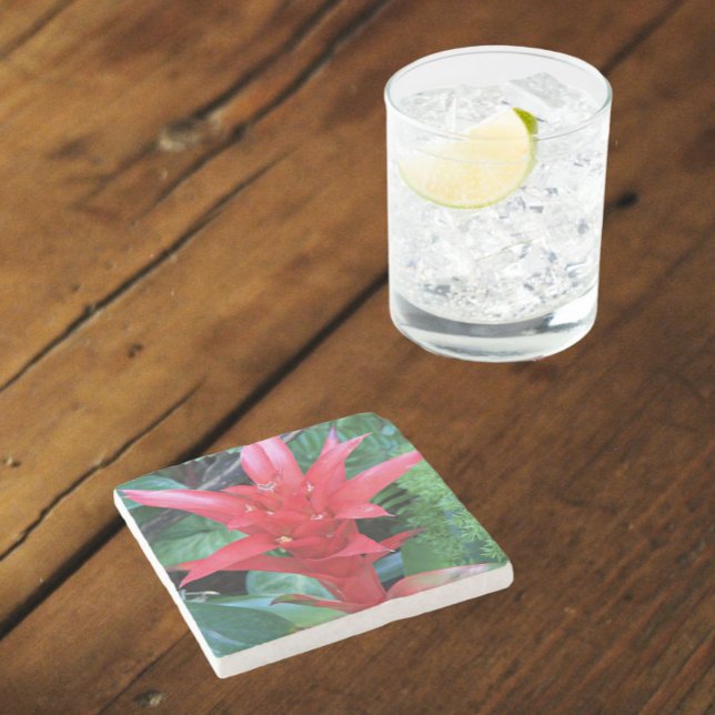 Porta-copo De Pedra Red Guzmania Bromeliad Floral (In Situ)