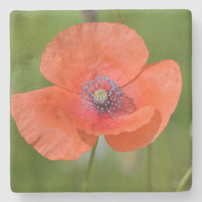 Porta-copo De Pedra Red Poppy (Frente)