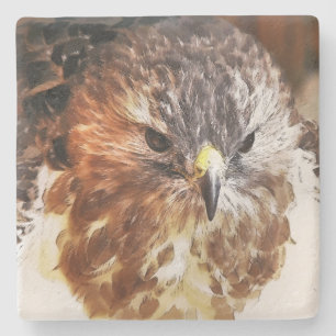 PORTA-COPO DE PEDRA RED TAILED HAWK