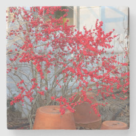 Porta-copo De Pedra Red Winter Berries - Martha's Vineyard