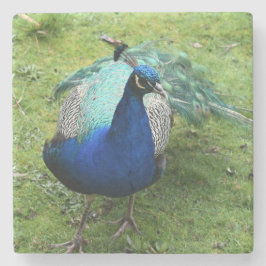 Porta-copo De Pedra Regal Peacock Power