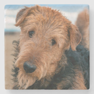 Porta-copo De Pedra Retrato de Airedale Terrier 2