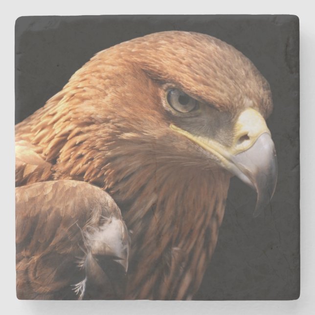 Porta-copo De Pedra Retrato de Eagle isolado no preto (Frente)
