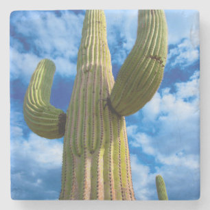 Porta-copo De Pedra Retrato do cacto Saguaro, Arizona