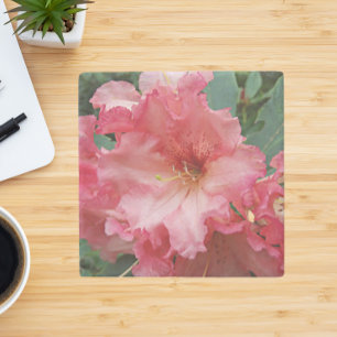 Porta-copo De Pedra Rhododendron Bloom Rosa Floral