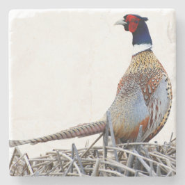 Porta-copo De Pedra Ring-necked Pheasant Photo Stone Trivet