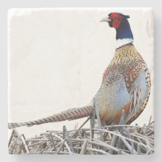 Porta-copo De Pedra Ring-necked Pheasant Photo Stone Trivet