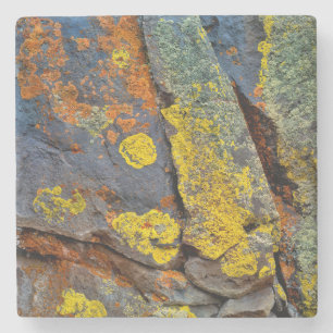 Porta-copo De Pedra Rochas Cobertas de Líquen