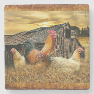 Porta-copo De Pedra Rooster Hens Russo Barn Coop