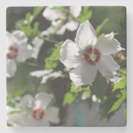 Porta-copo De Pedra Rosa de Sharon