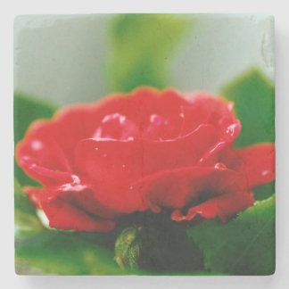 Porta-copo De Pedra Rosa vermelha de paixão coberta com gotas de orval