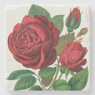 Porta-copo De Pedra Rose Print Rochester Lithographing and Printing Co