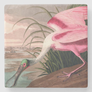 Porta-copo De Pedra Roseate Spoonbill Audubon Bird Willife