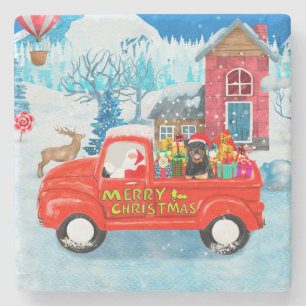 Porta-copo De Pedra Rottweiler Cão Vestido Neve