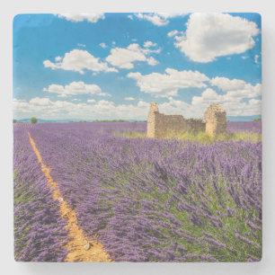 Porta-copo De Pedra Ruin in in Lavanda Field, França