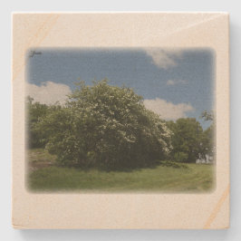 Porta-copo De Pedra Rural Sweden June