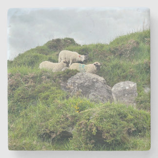 Porta-copo De Pedra Rustic Ireland Three Irish Sheep
