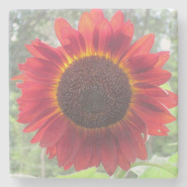 Porta-copo De Pedra Rusty Red Sunflower (Frente)
