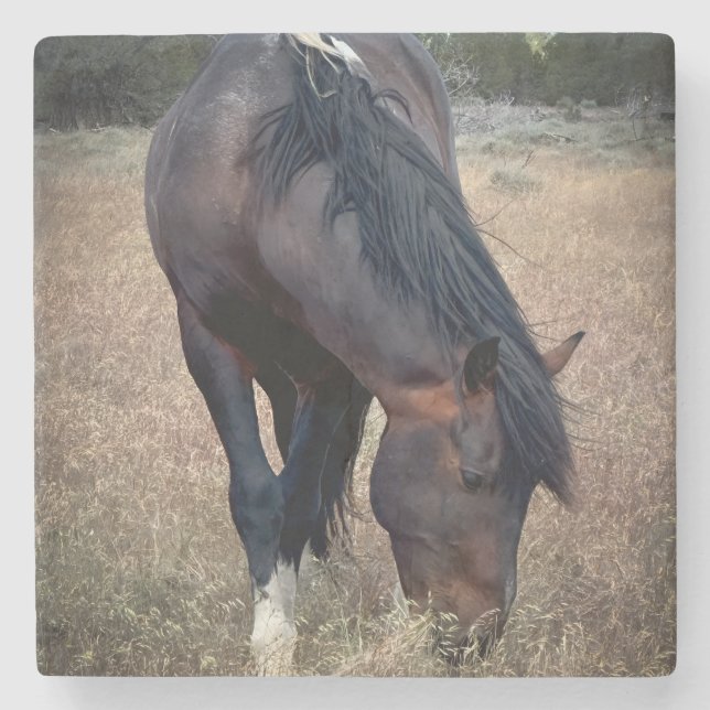 Porta-copo De Pedra S Steens Coaster (Frente)